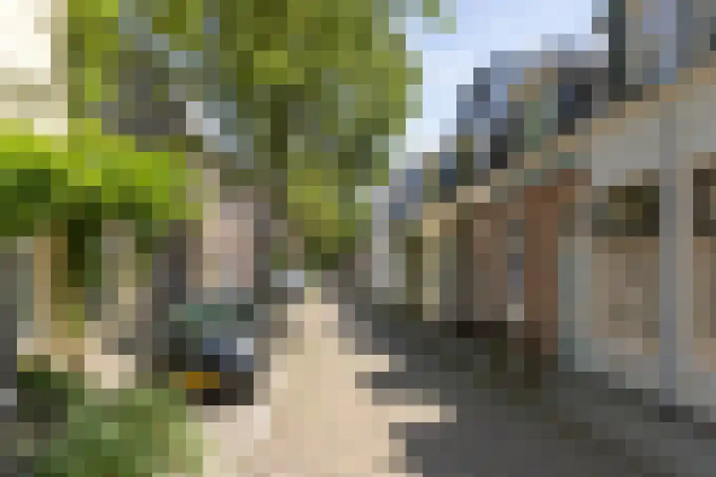 Singelstraat 34 Utrecht thumbnail 21