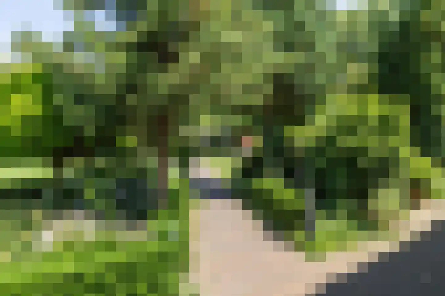 Singelstraat 34 Utrecht thumbnail 23