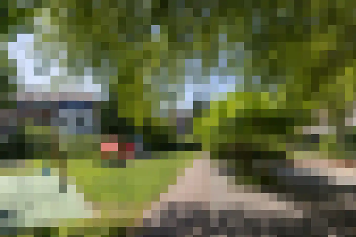 Singelstraat 34 Utrecht thumbnail 24