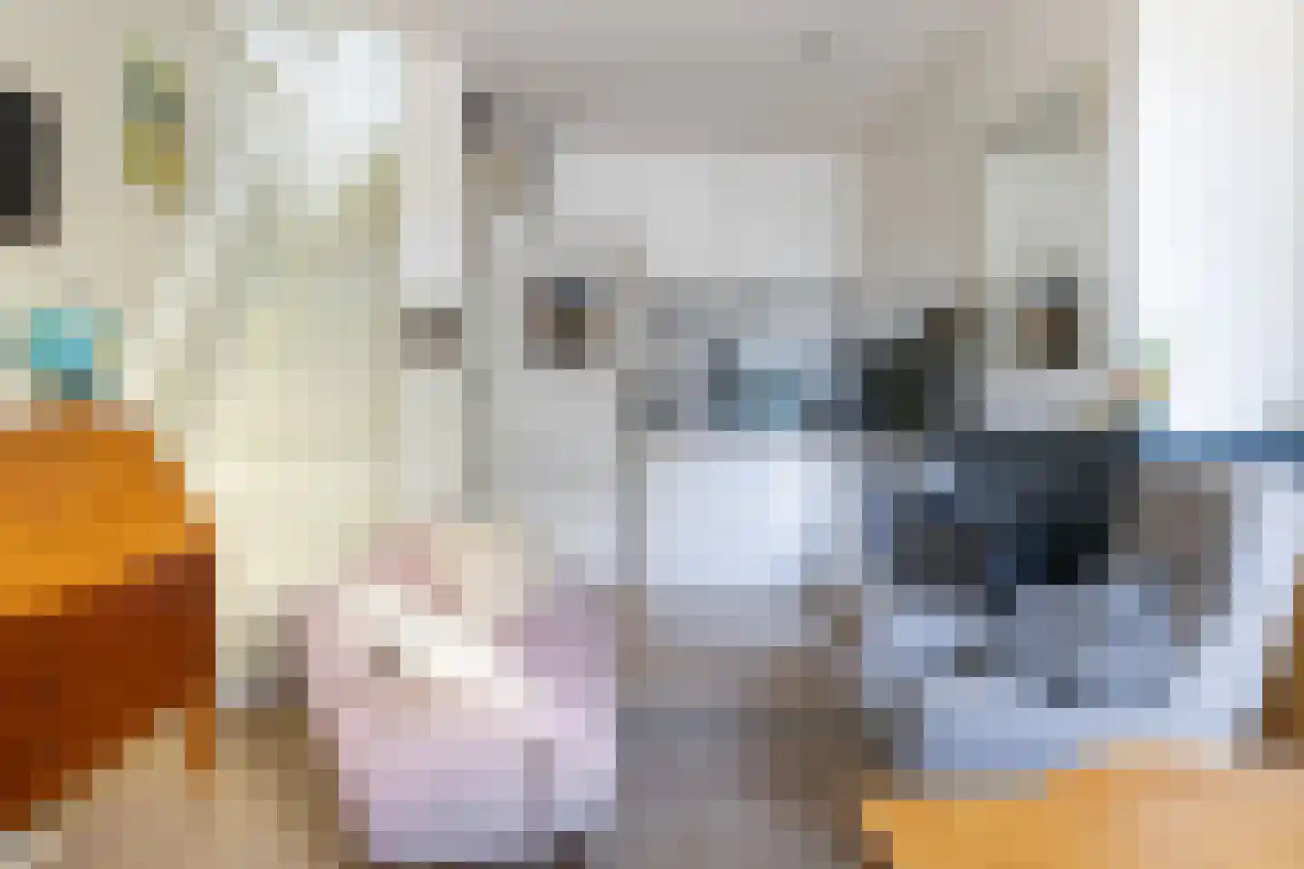 Singelstraat 34 Utrecht thumbnail 4