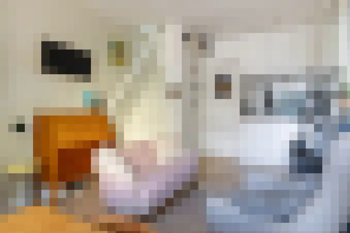 Singelstraat 34 Utrecht thumbnail 6