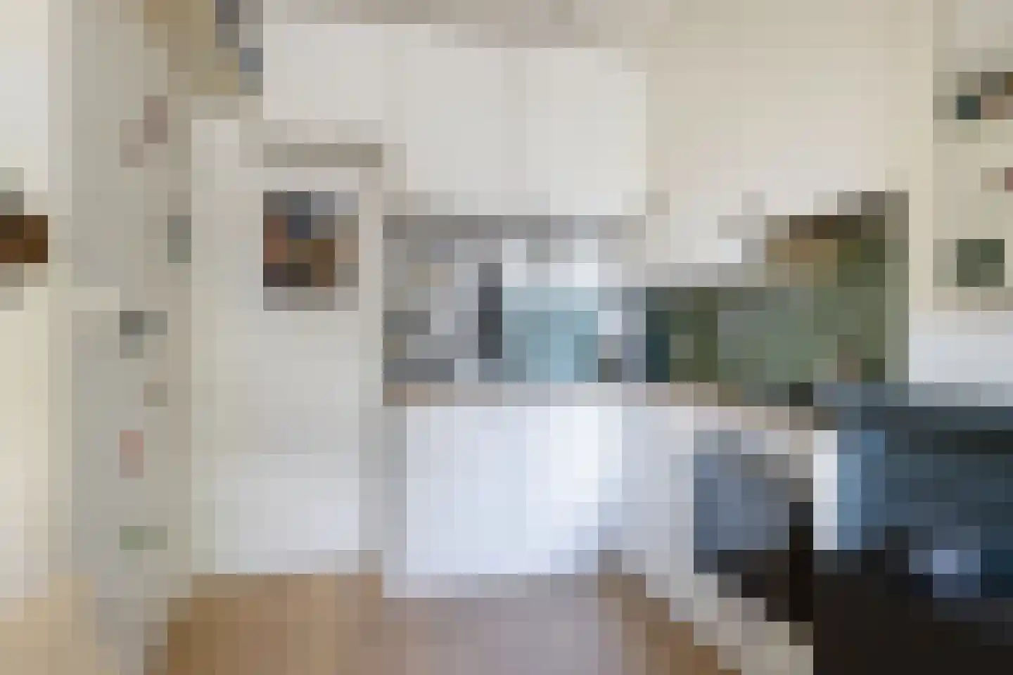 Singelstraat 34 Utrecht thumbnail 7