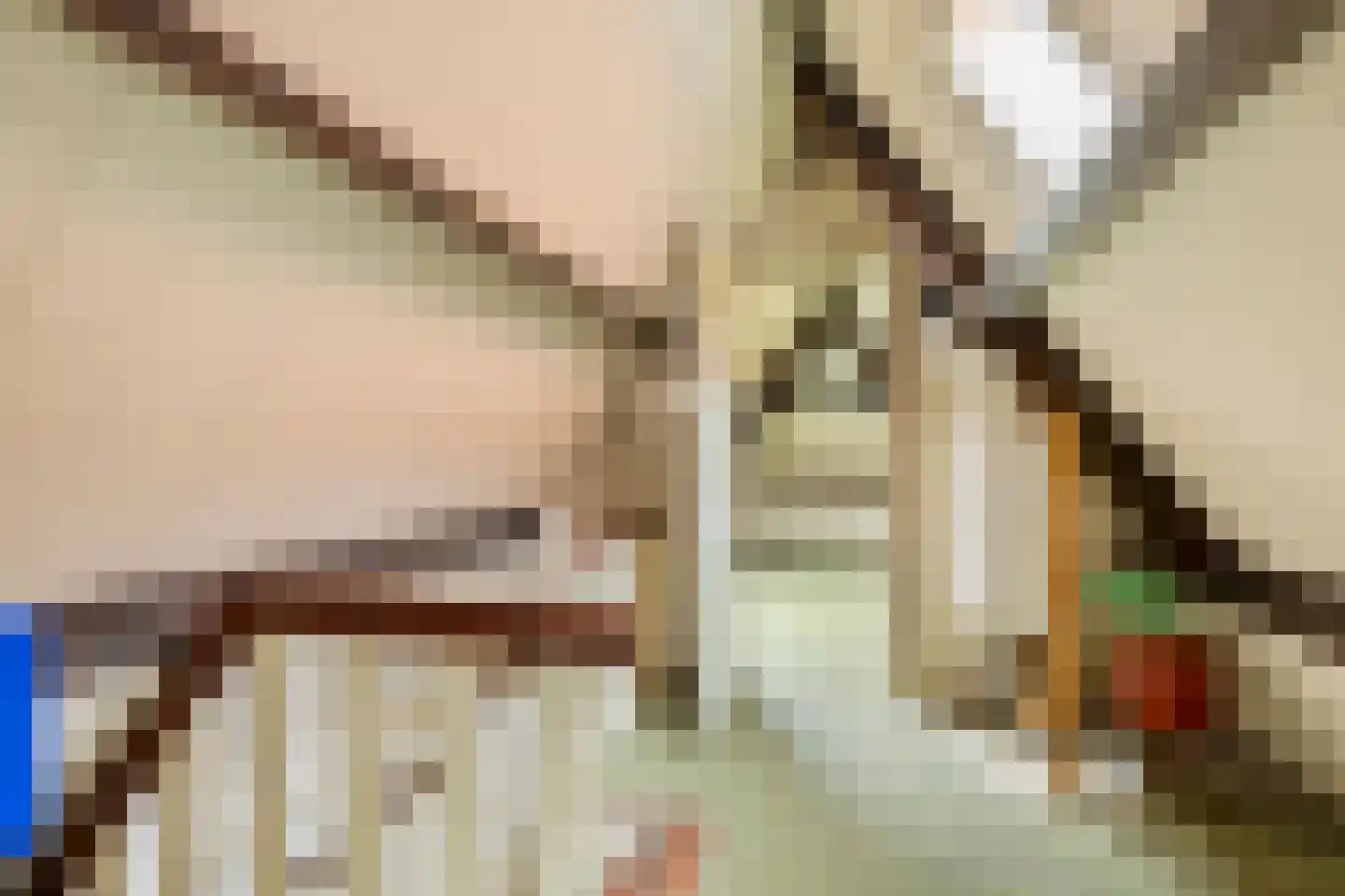 Singelstraat 36 Middelburg thumbnail 32