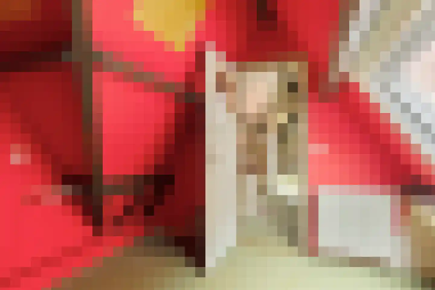 Singelstraat 36 Middelburg thumbnail 34