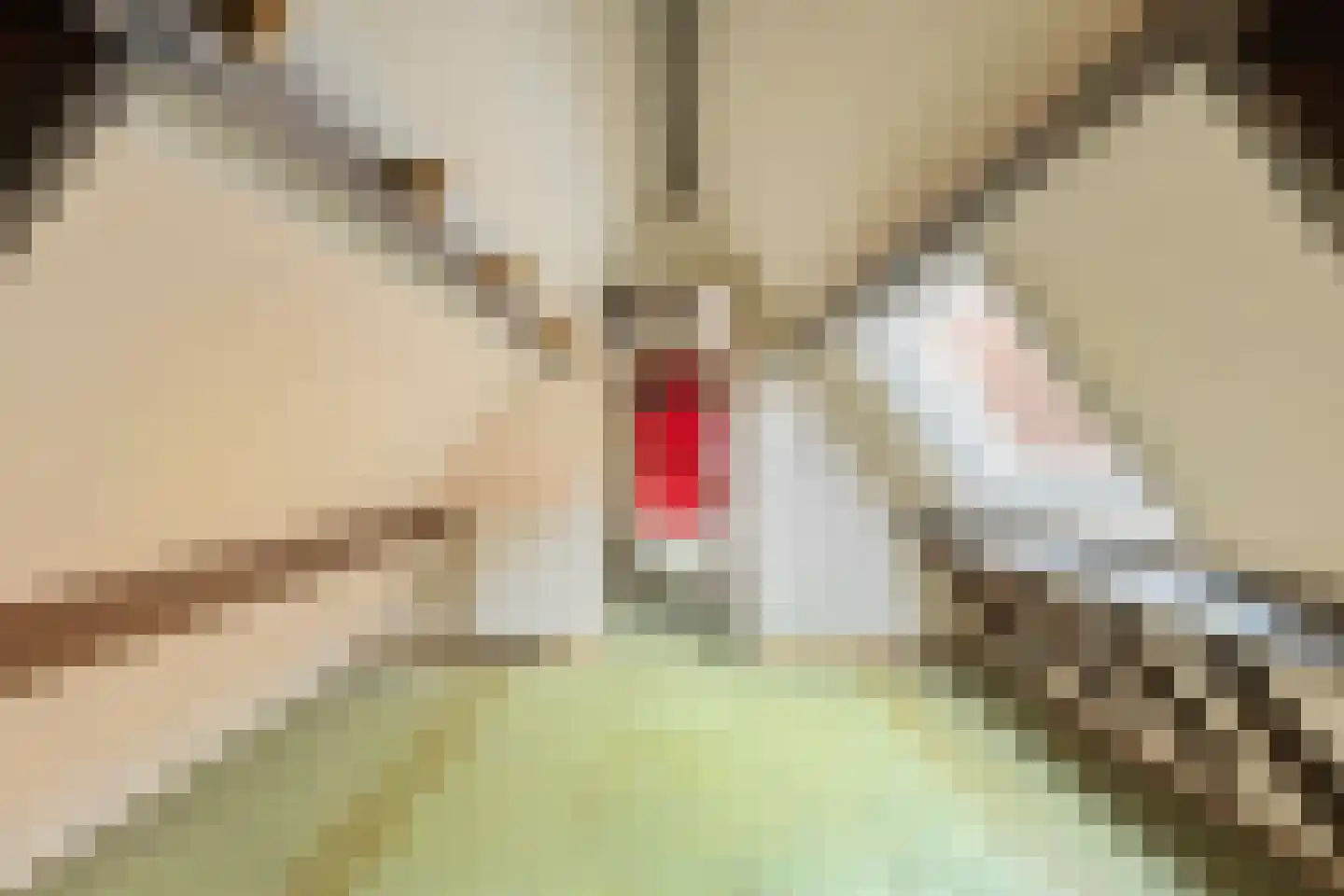Singelstraat 36 Middelburg thumbnail 36