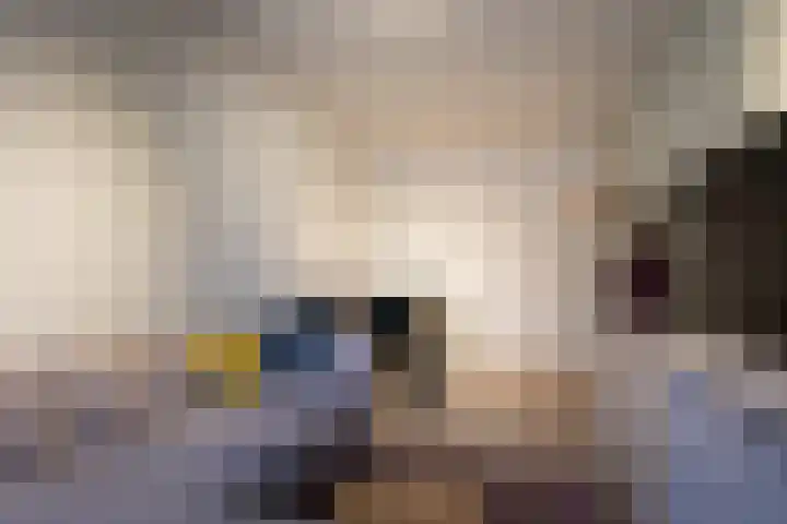 Singelstraat 4 Utrecht thumbnail 5