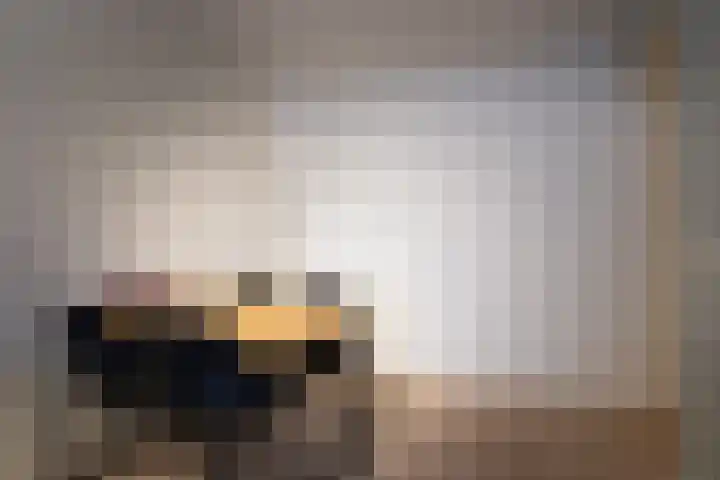 Singelstraat 4 Utrecht thumbnail 6