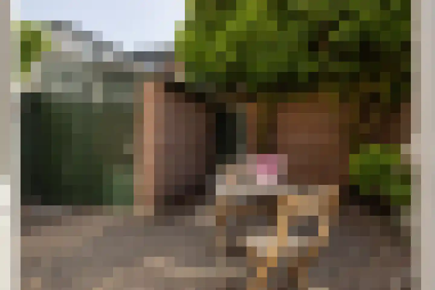 Singelstraat 43 Muiden thumbnail 17