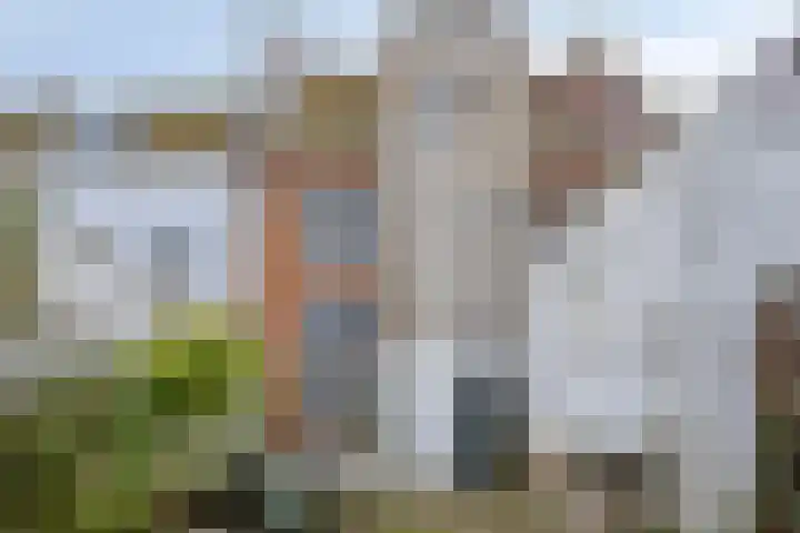 Singelstraat 45 Middelburg thumbnail 20