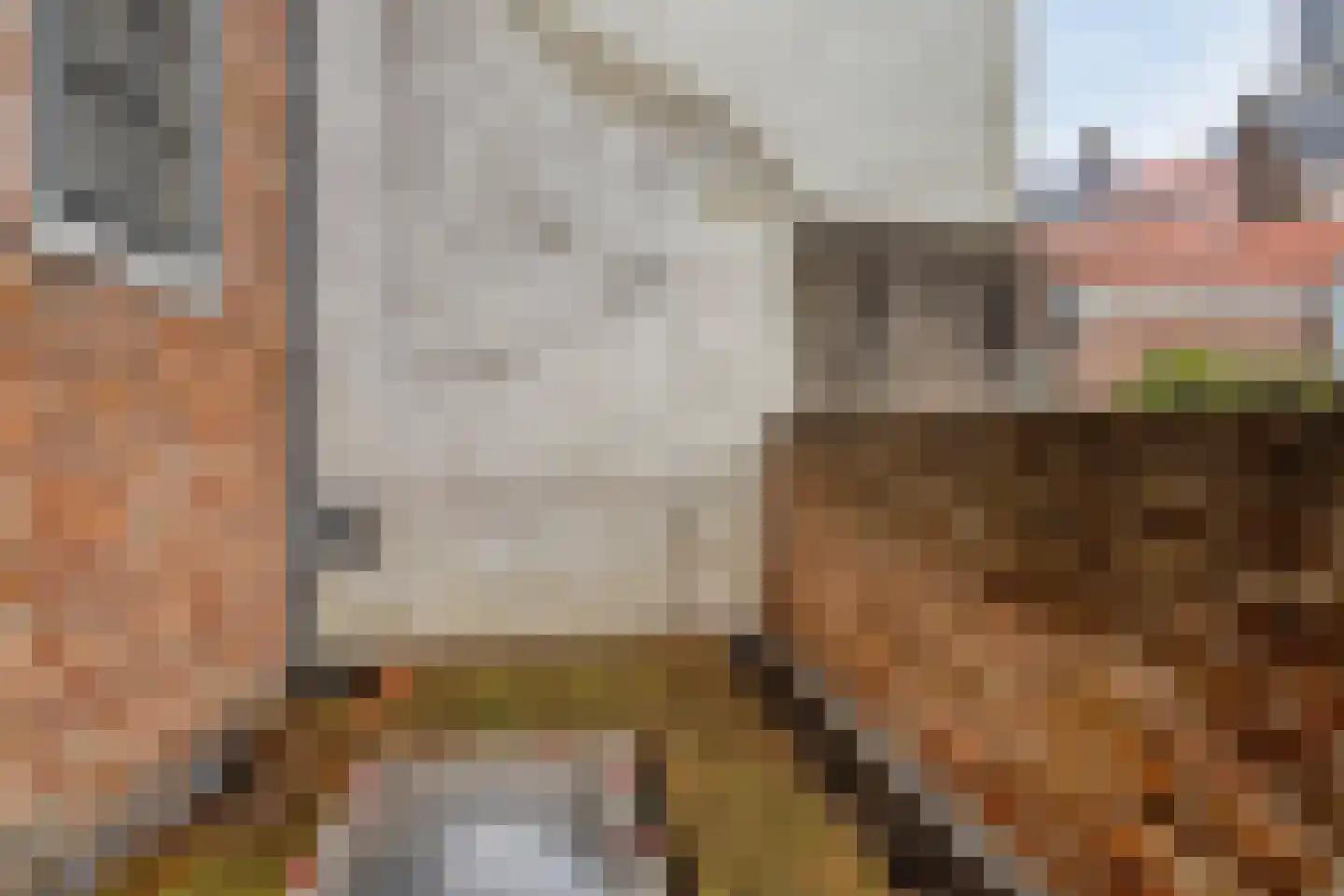 Singelstraat 45 Middelburg thumbnail 20