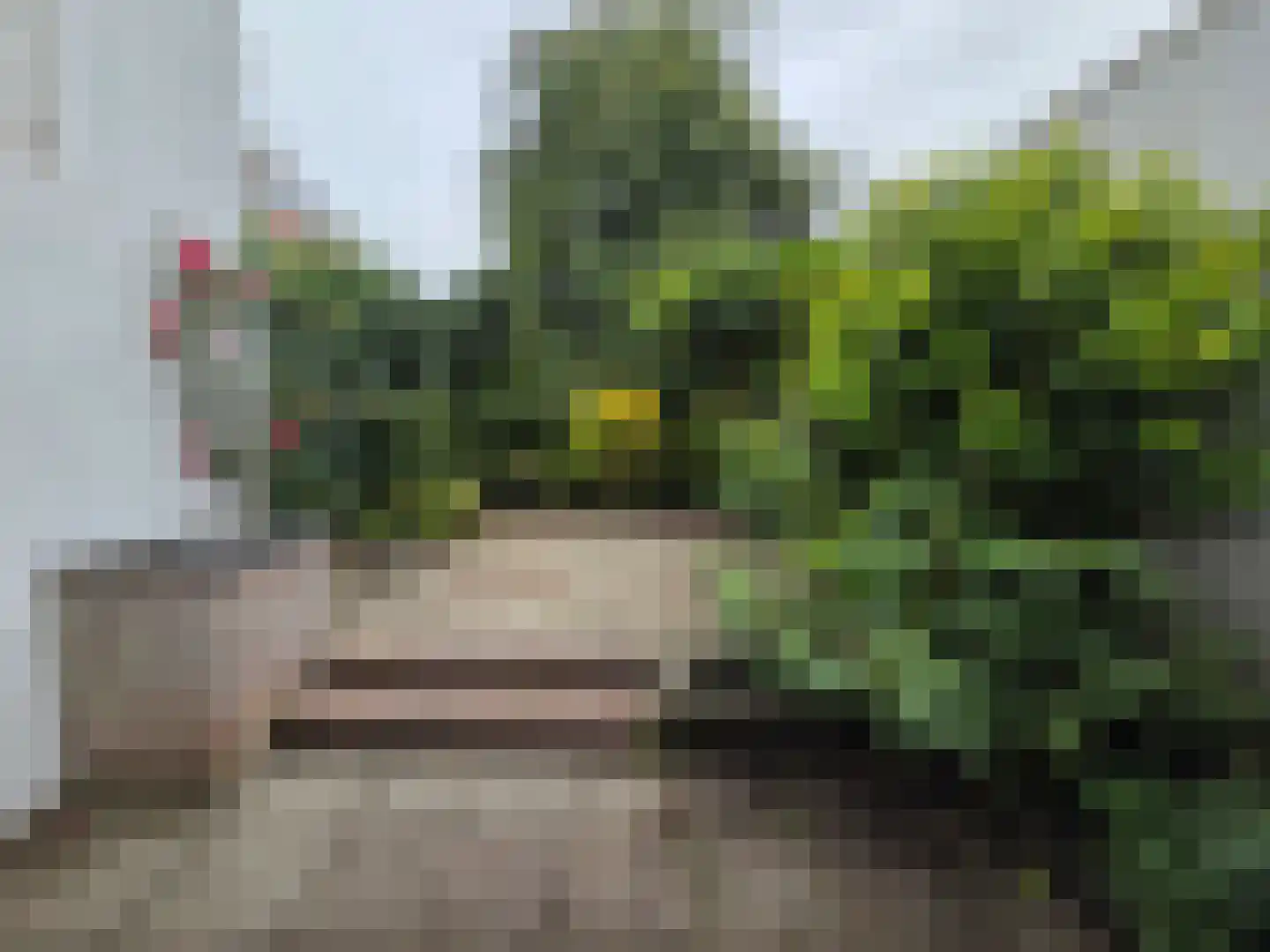 Singelstraat 45 Middelburg thumbnail 35