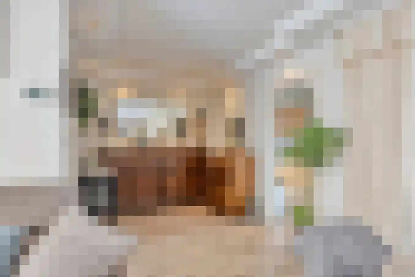 Singelstraat 46 St. Willebrord thumbnail 10