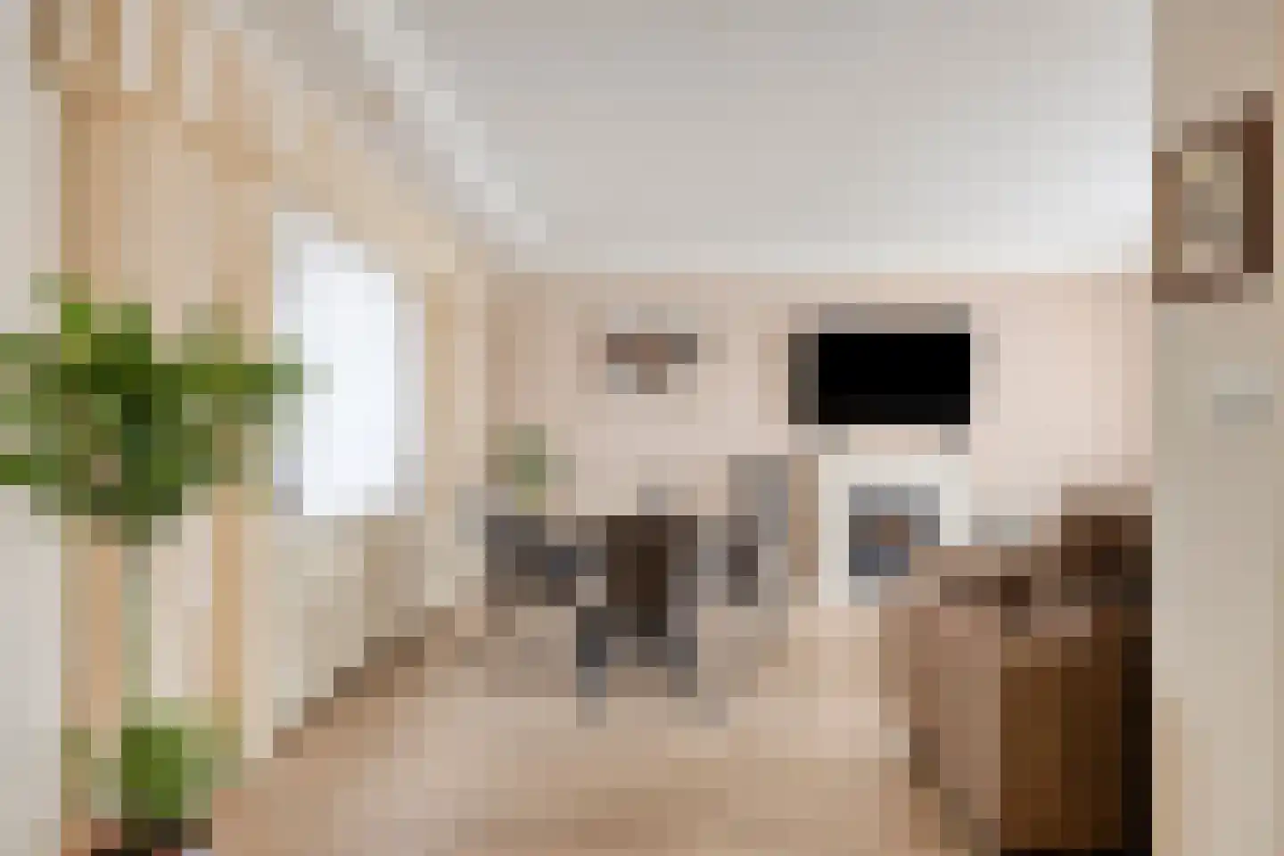 Singelstraat 46 St. Willebrord thumbnail 8
