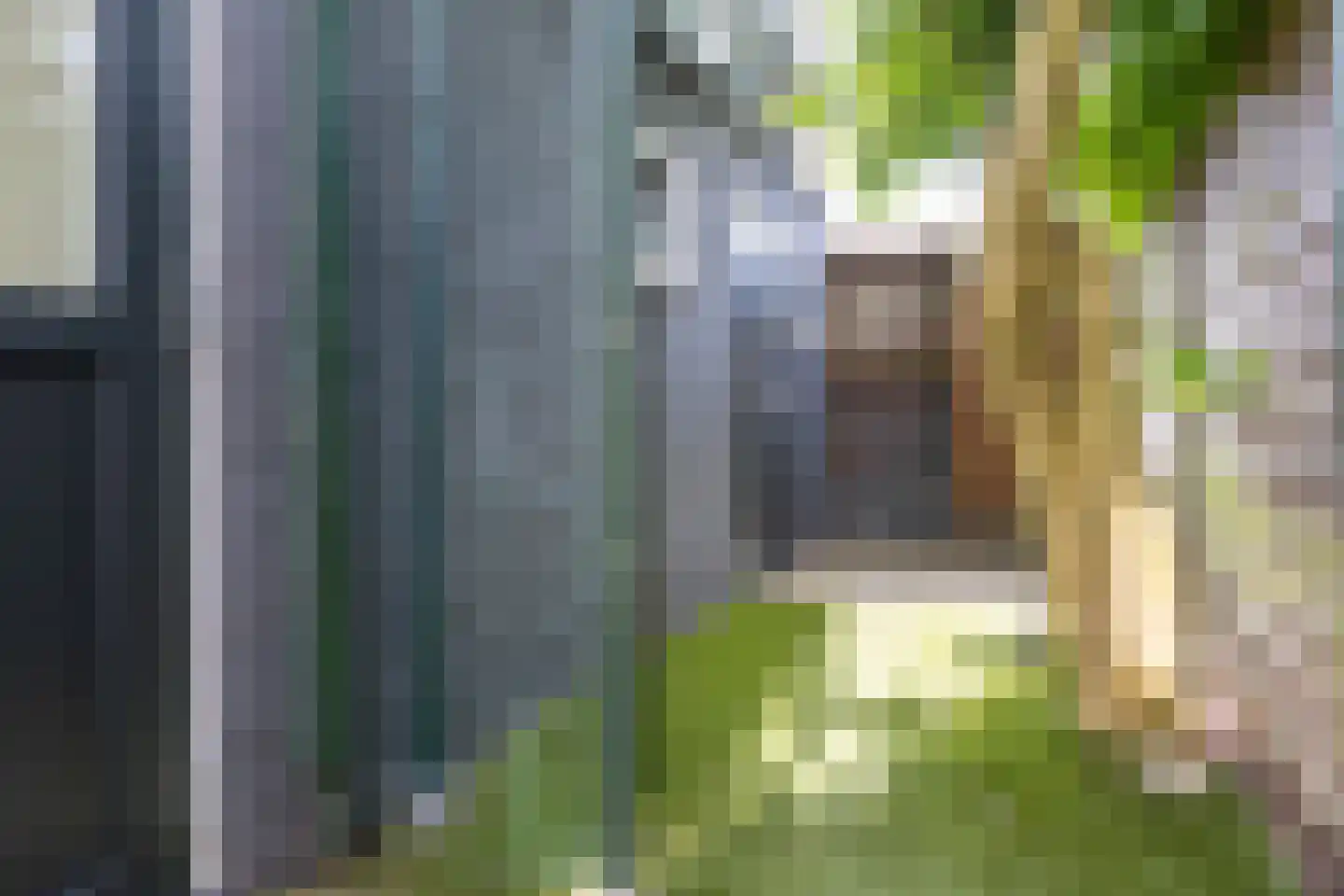 Singelstraat 5 Weesp thumbnail 33