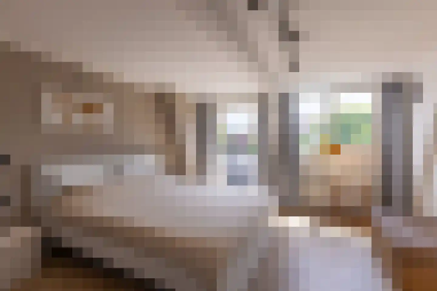 Singelstraat 5 Weesp thumbnail 4