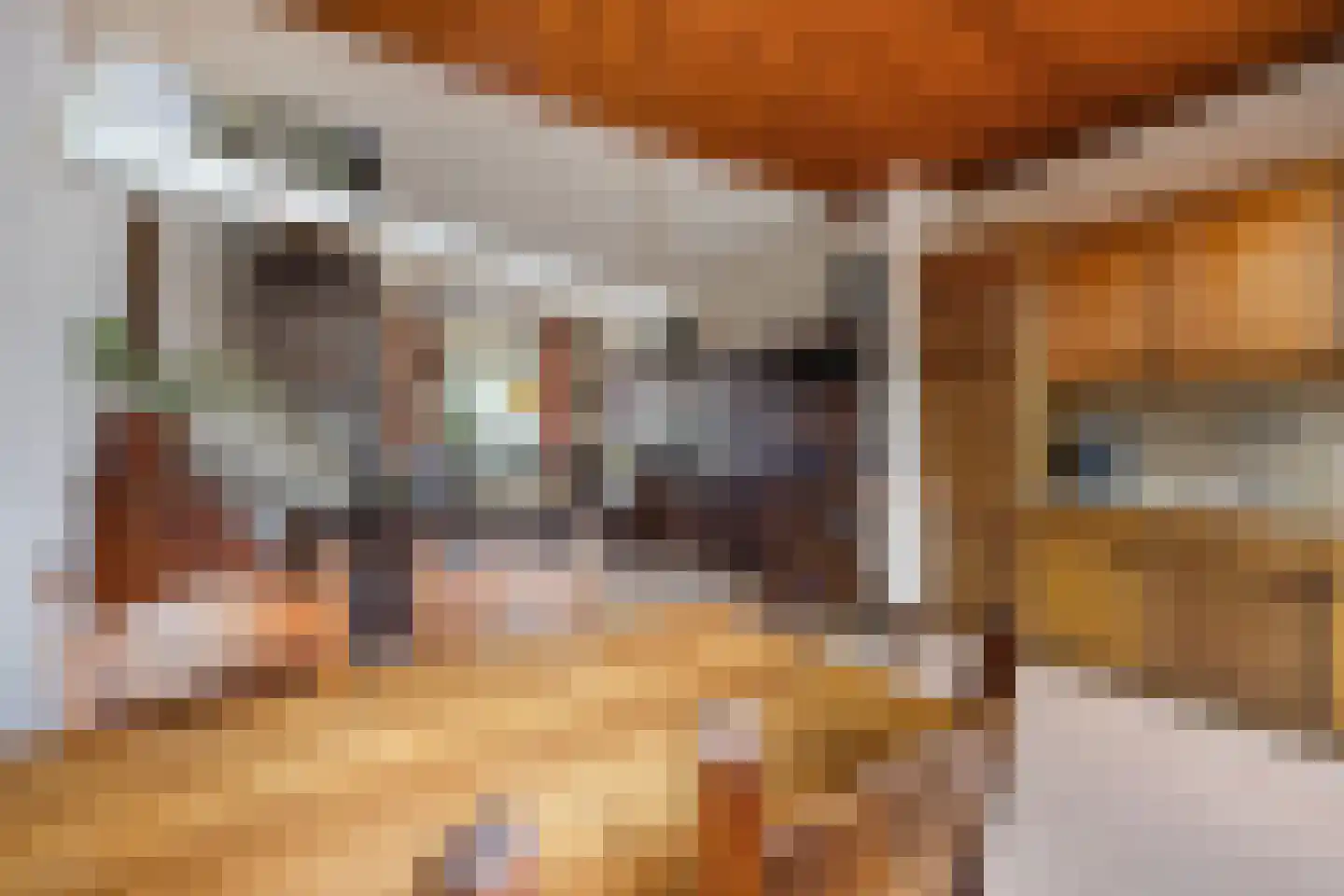 Singelstraat 55 Delft thumbnail 11