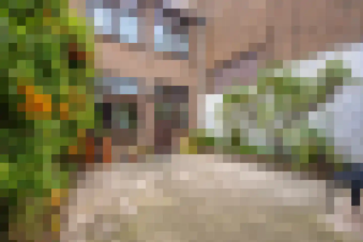 Singelstraat 55 Delft thumbnail 24