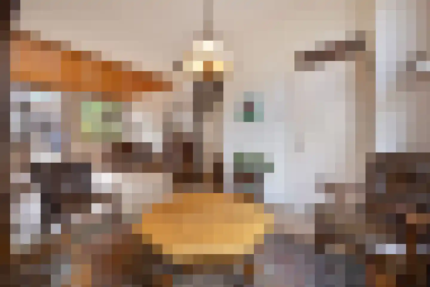 Singelstraat 55 Delft thumbnail 9