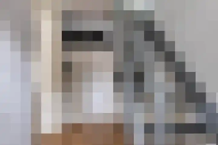Singelstraat 6 Groningen thumbnail 10