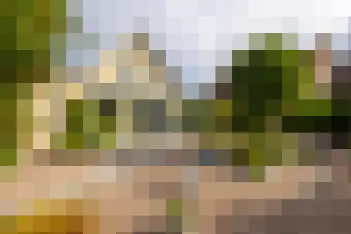 Singelstraat 6 Groningen thumbnail 12