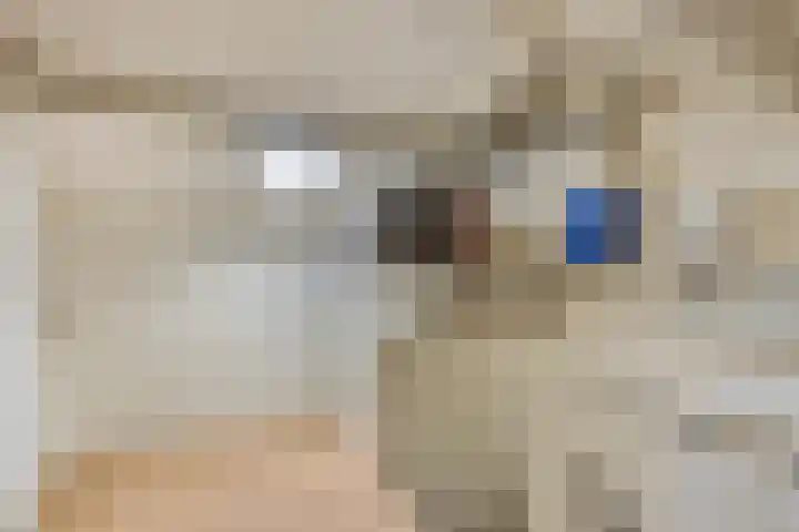 Singelstraat 6 Groningen thumbnail 22
