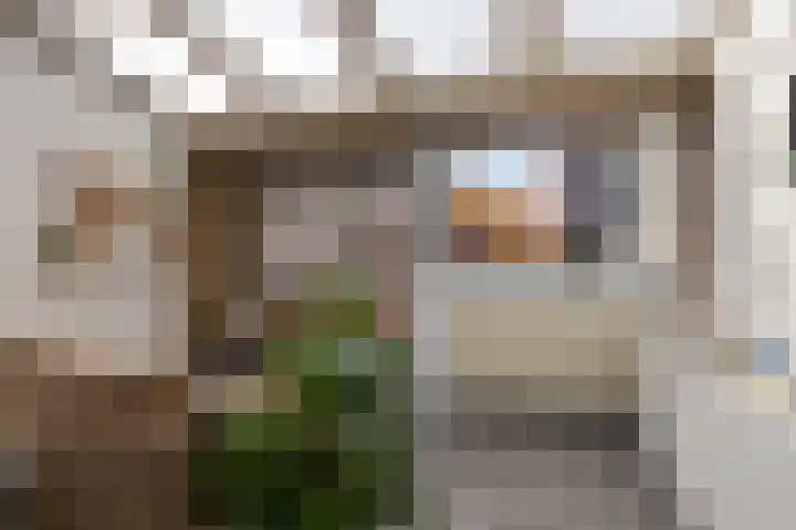 Singelstraat 6 Groningen thumbnail 38