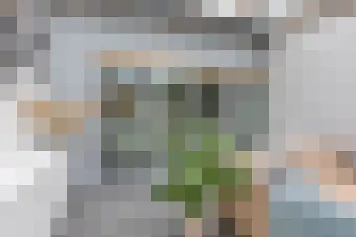 Singelstraat 6 Groningen thumbnail 39
