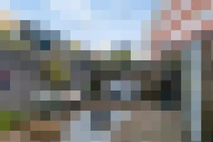 Singelstraat 6 Groningen thumbnail 45