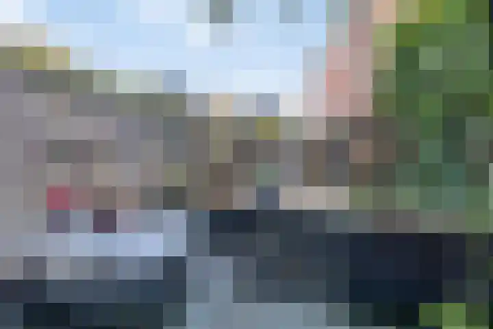 Singelstraat 6 Groningen thumbnail 5