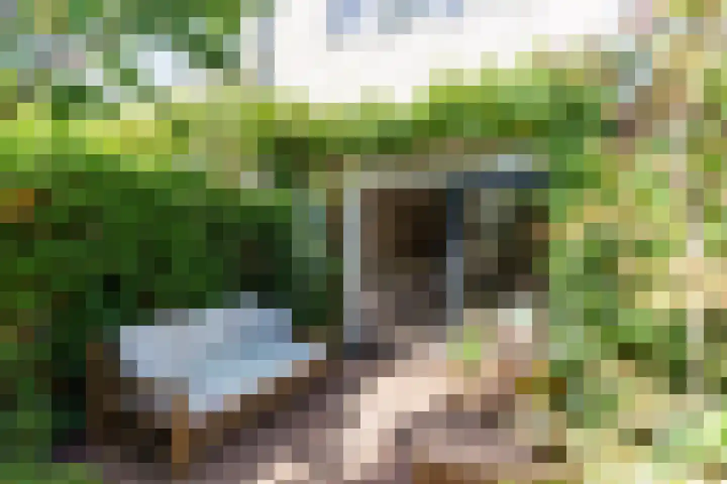 Singelstraat 65 Delft thumbnail 13