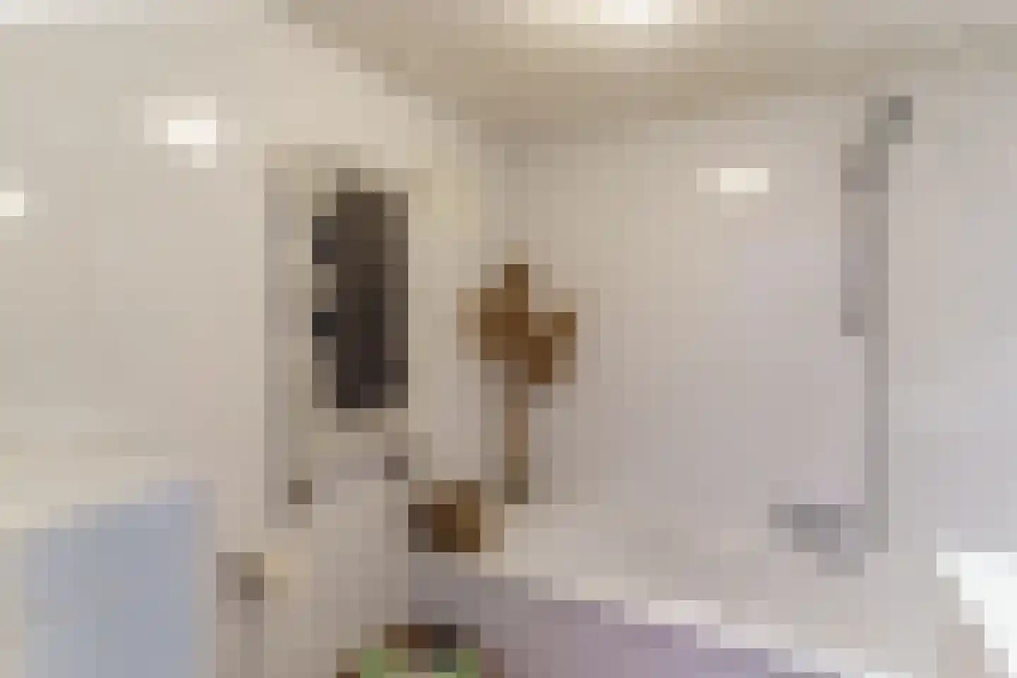 Singelstraat 65 Delft thumbnail 21