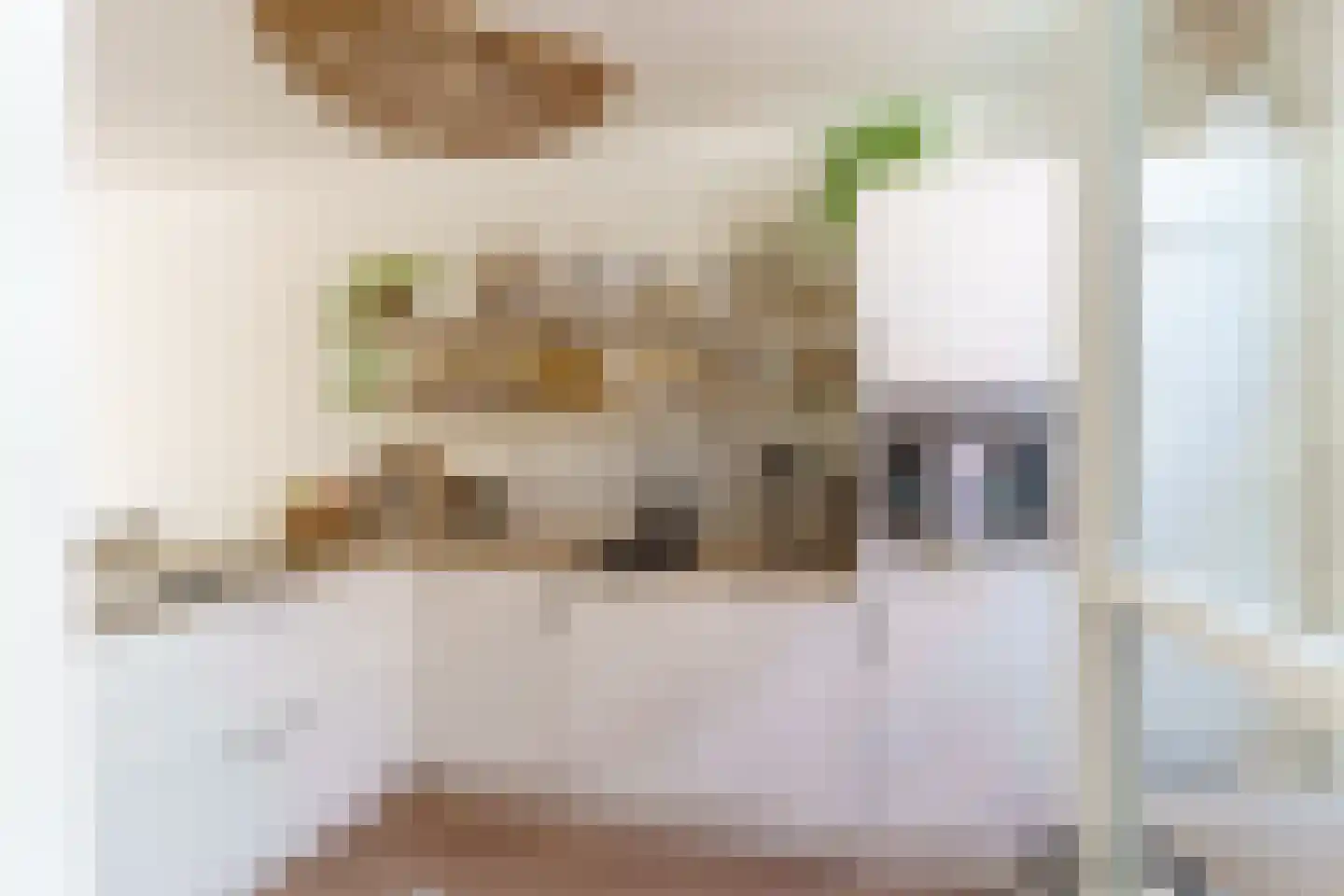 Singelstraat 65 Delft thumbnail 5