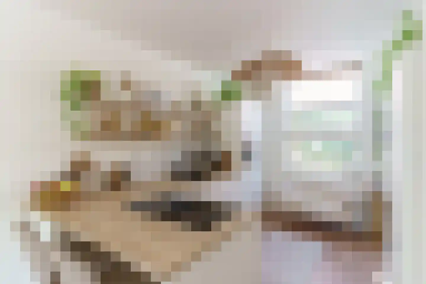 Singelstraat 65 Delft thumbnail 7