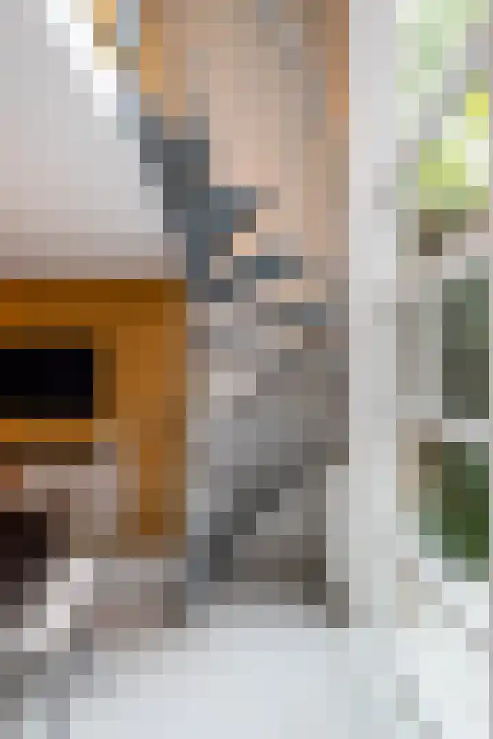 Singelstraat 8 Groningen thumbnail 14