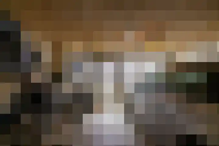 Singelstraat 8 Groningen thumbnail 4