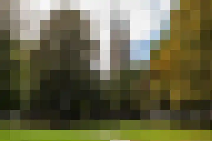 Singelstraat 8 Groningen thumbnail 43