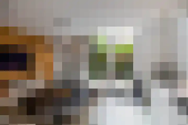 Singelstraat 8 Groningen thumbnail 7