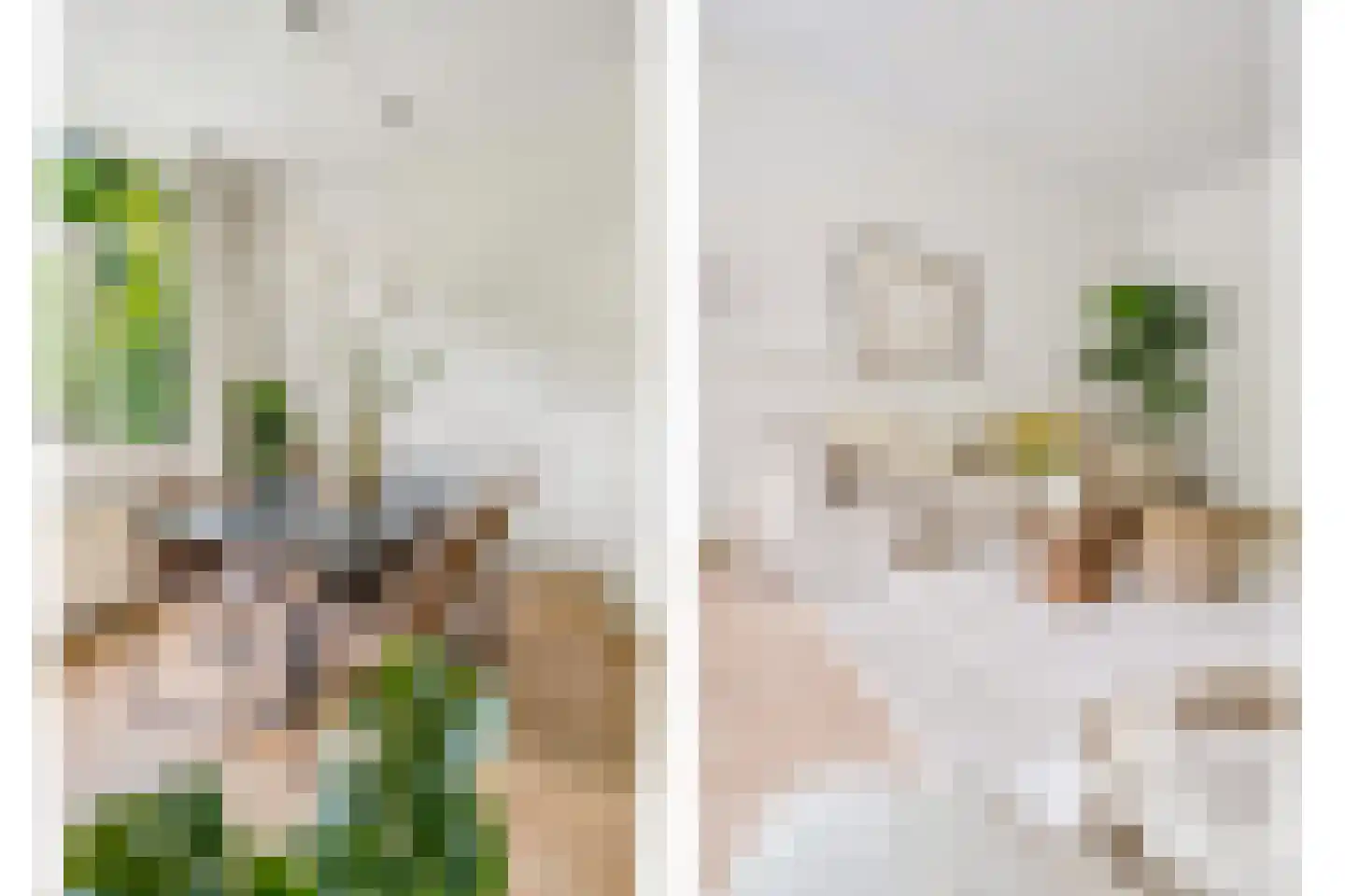 Singelstraat 8 Utrecht thumbnail 14