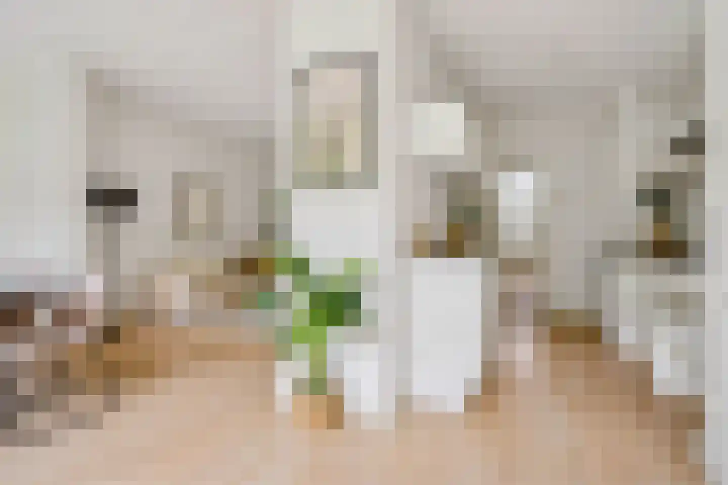 Singelstraat 8 Utrecht thumbnail 15