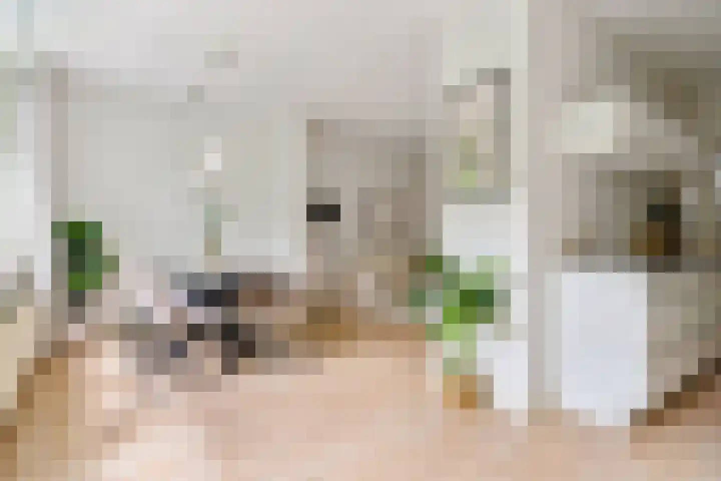 Singelstraat 8 Utrecht thumbnail 18