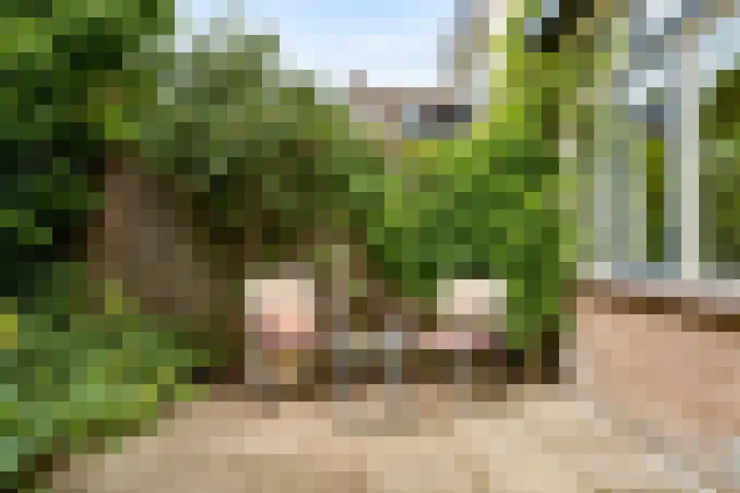 Singelstraat 8 Utrecht thumbnail 22