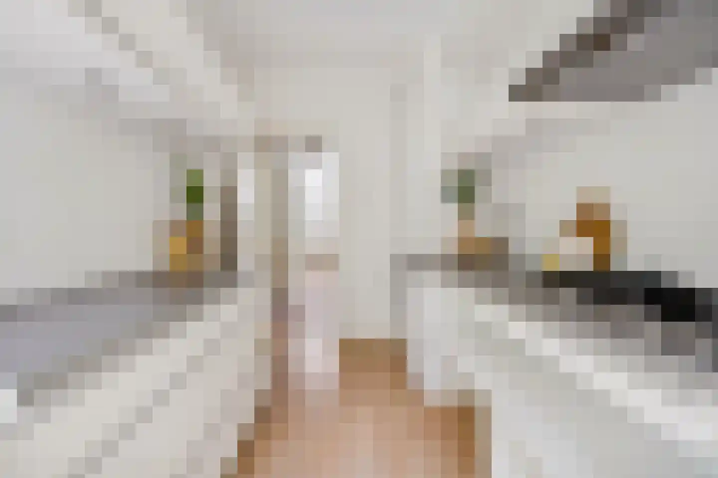 Singelstraat 8 Utrecht thumbnail 27