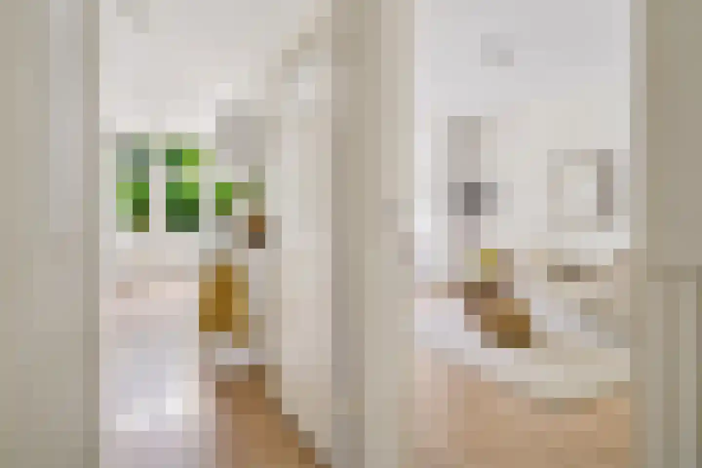 Singelstraat 8 Utrecht thumbnail 8