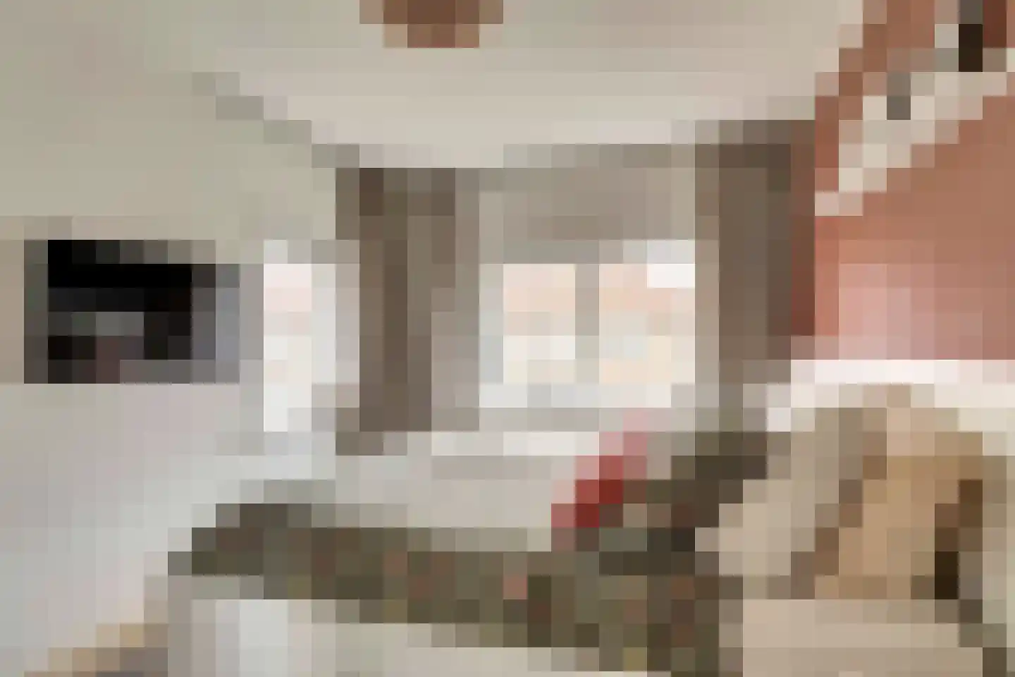 Singelstraat 9 Harlingen thumbnail 18