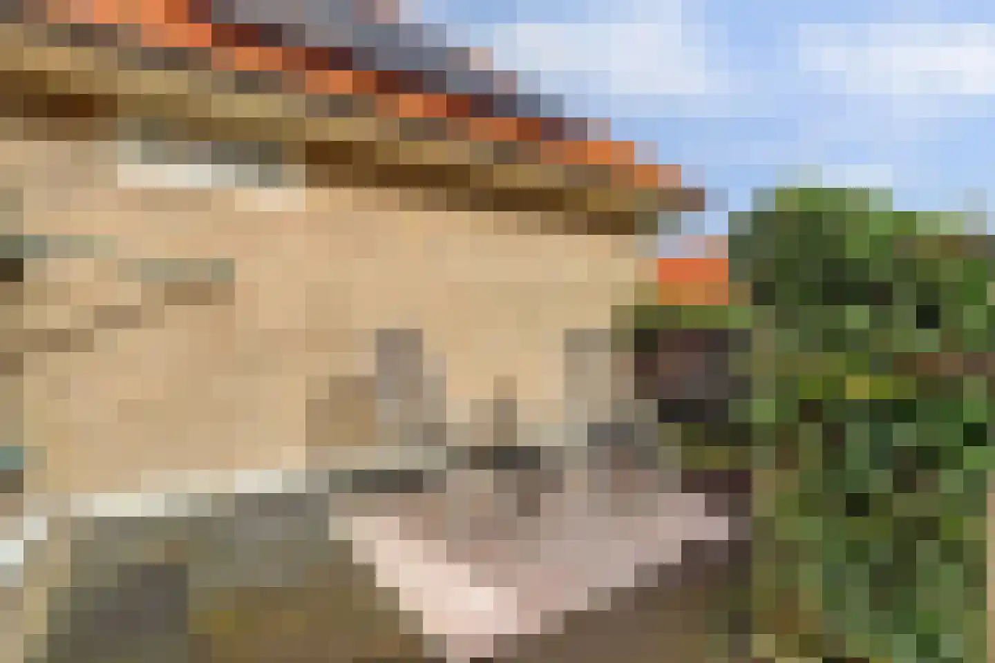 Singelstraat 9 Harlingen thumbnail 27