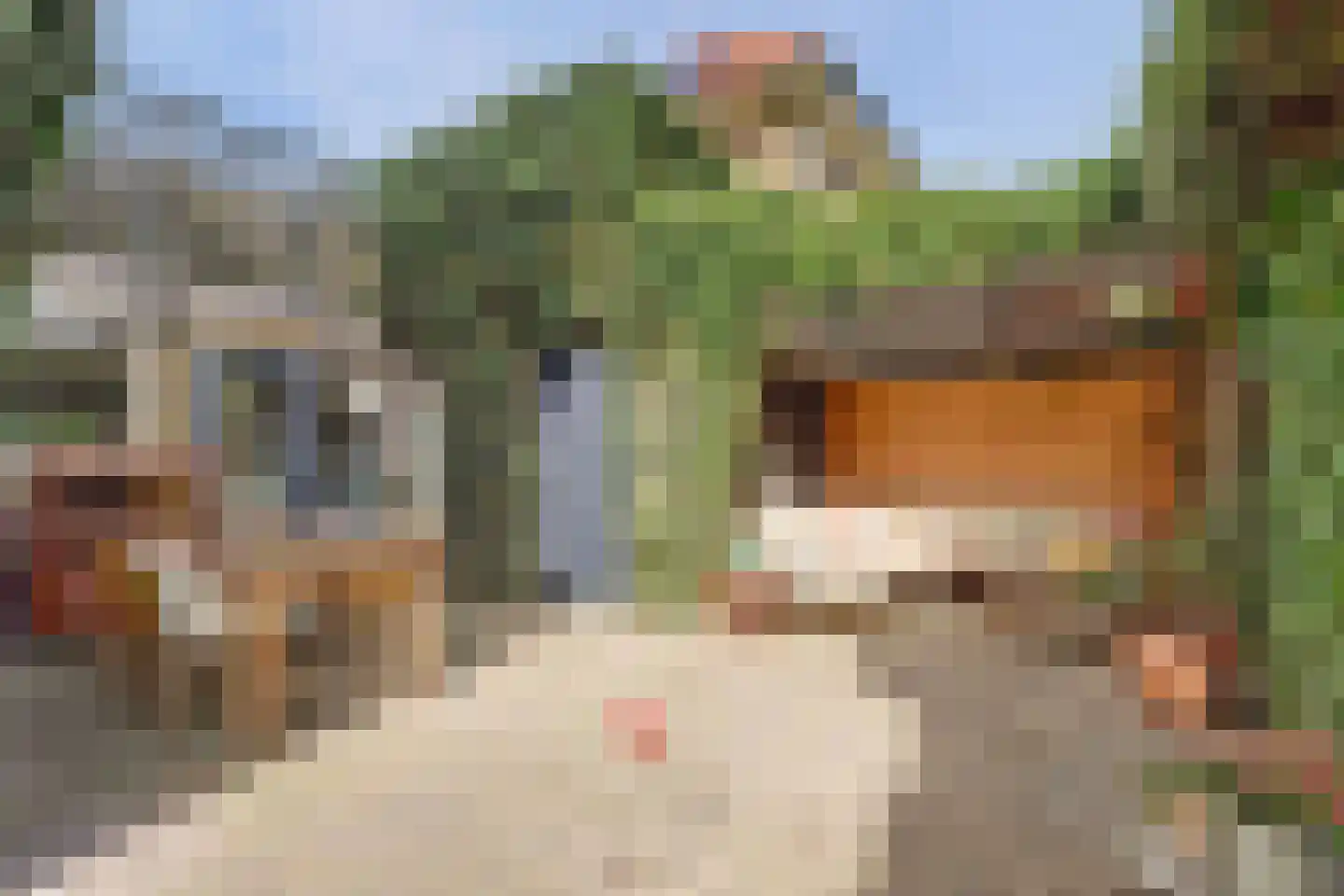 Singelstraat 9 Harlingen thumbnail 32