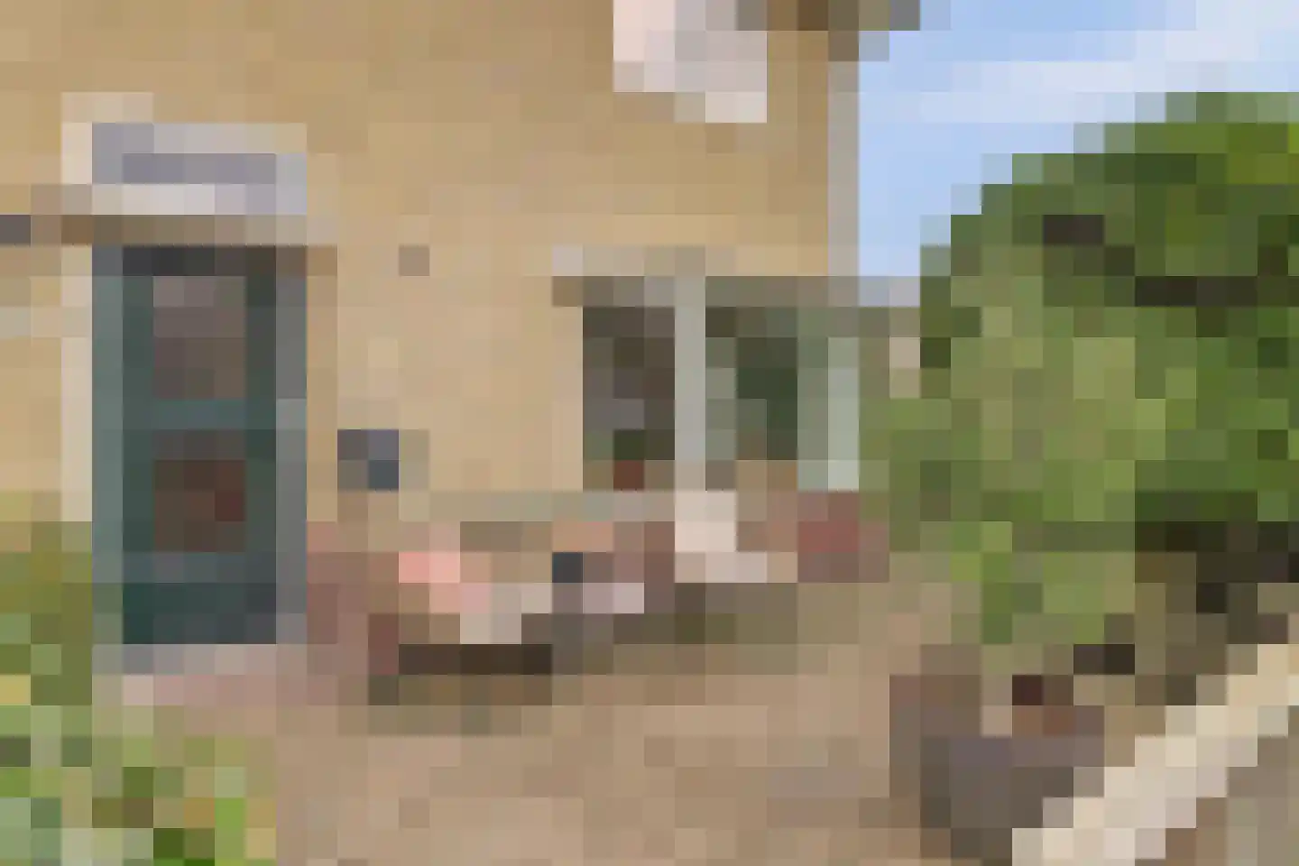 Singelstraat 9 Harlingen thumbnail 33