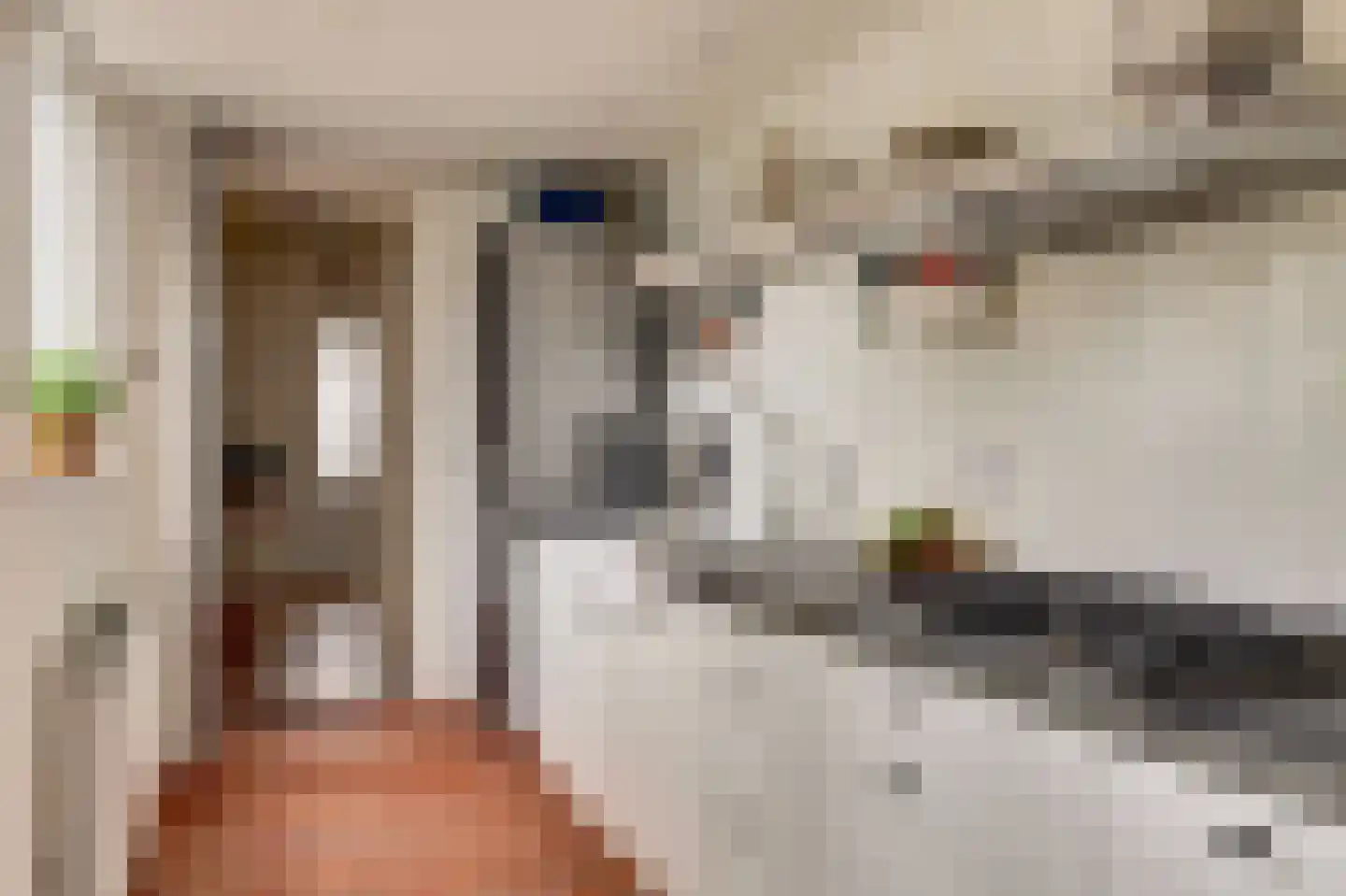 Singelstraat 9 Harlingen thumbnail 8
