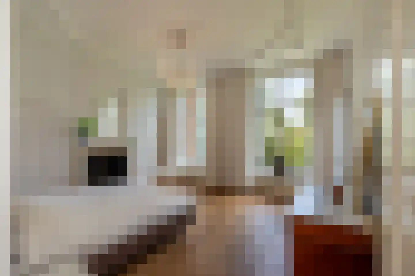 Singelstraat 9 Middelburg thumbnail 28