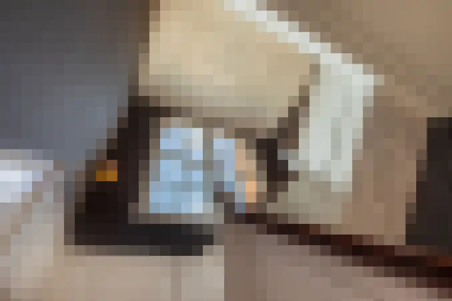 Singelstraat 9 Middelburg thumbnail 35